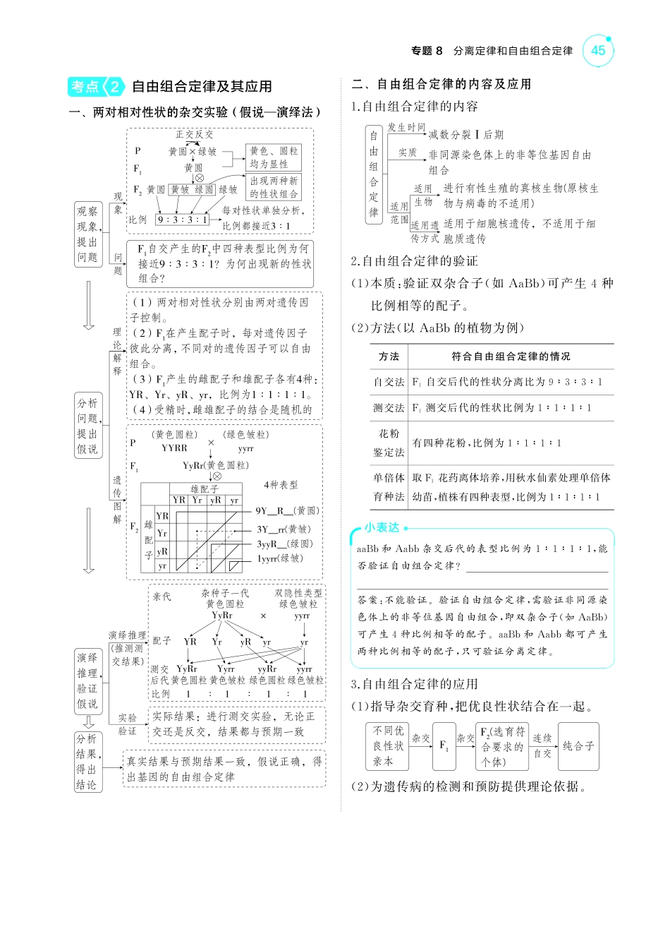 专题8   分离定律和自由组合定律-【高考总复习】2025版新高考生物考点清单+模型清单.pdf_第3页