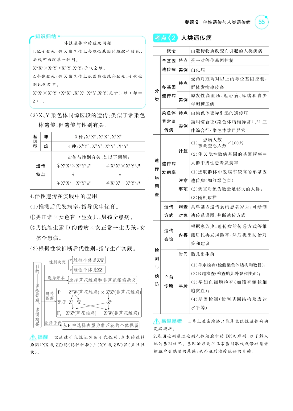 专题9   伴性遗传与人类遗传病-【高考总复习】2025版新高考生物考点清单+模型清单.pdf_第3页