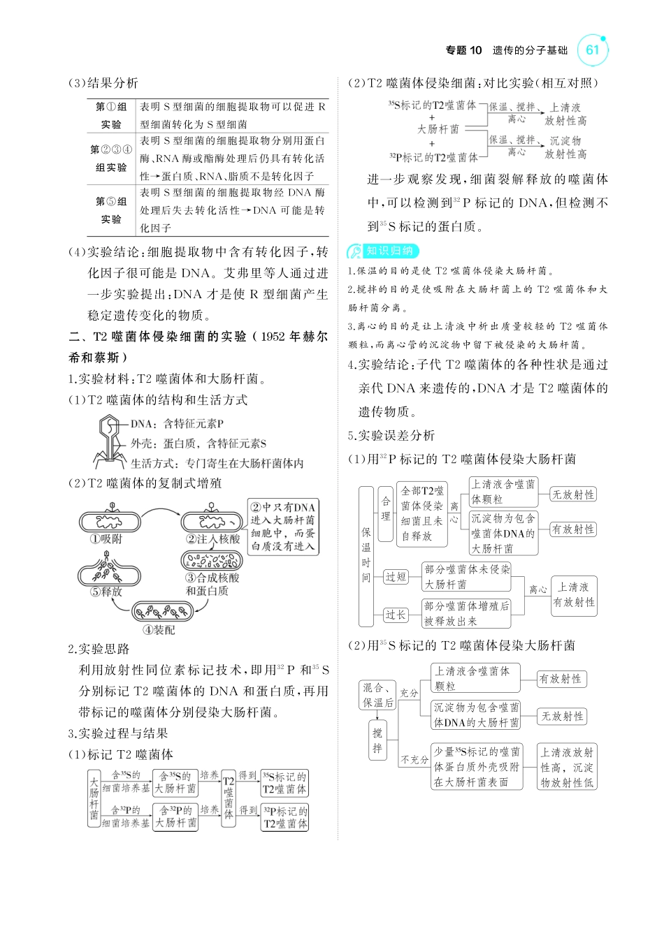 专题10   遗传的分子基础-【高考总复习】2025版新高考生物考点清单+模型清单.pdf_第2页