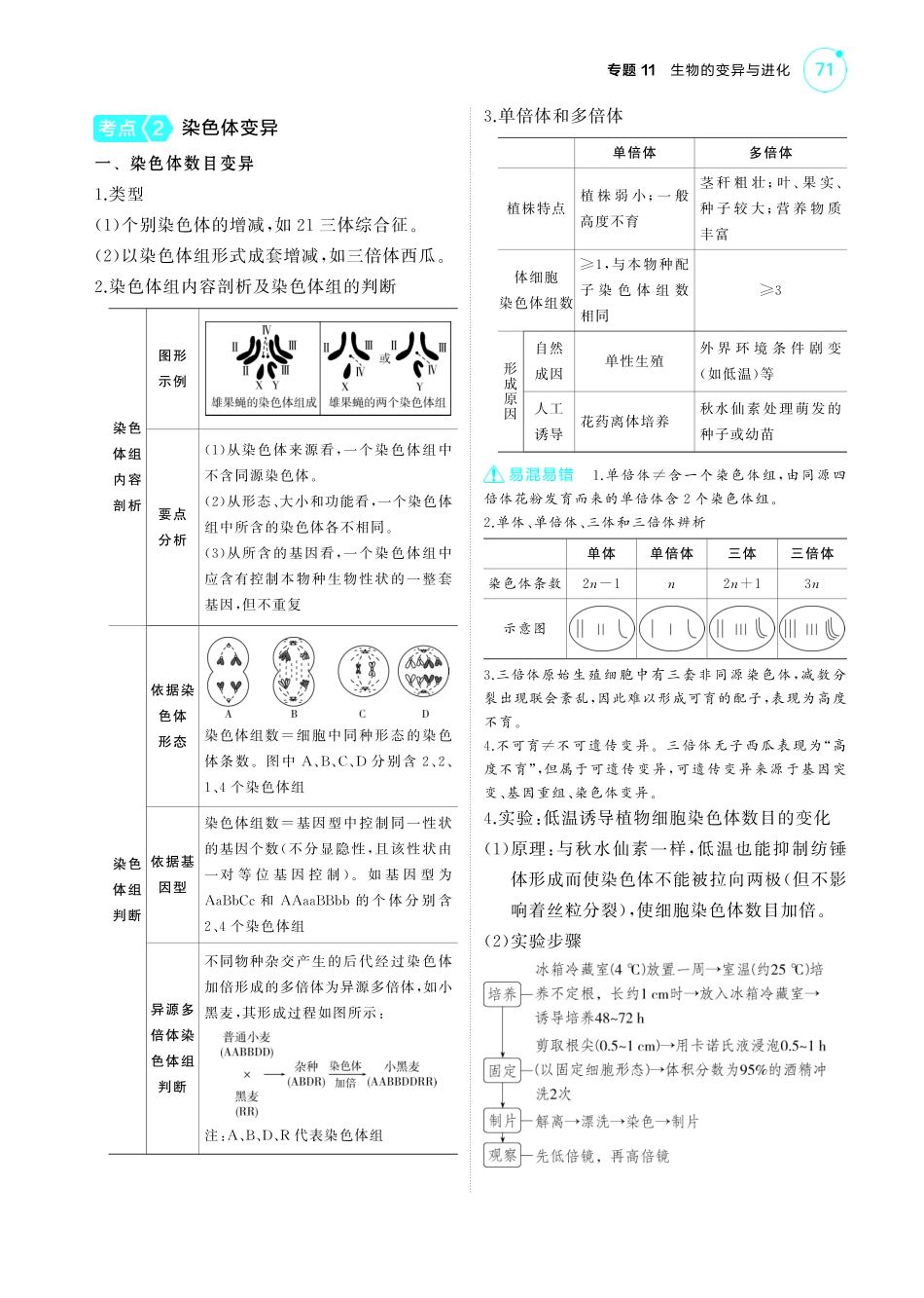 专题11   生物的变异与进化-【高考总复习】2025版新高考生物考点清单+模型清单.pdf_第3页