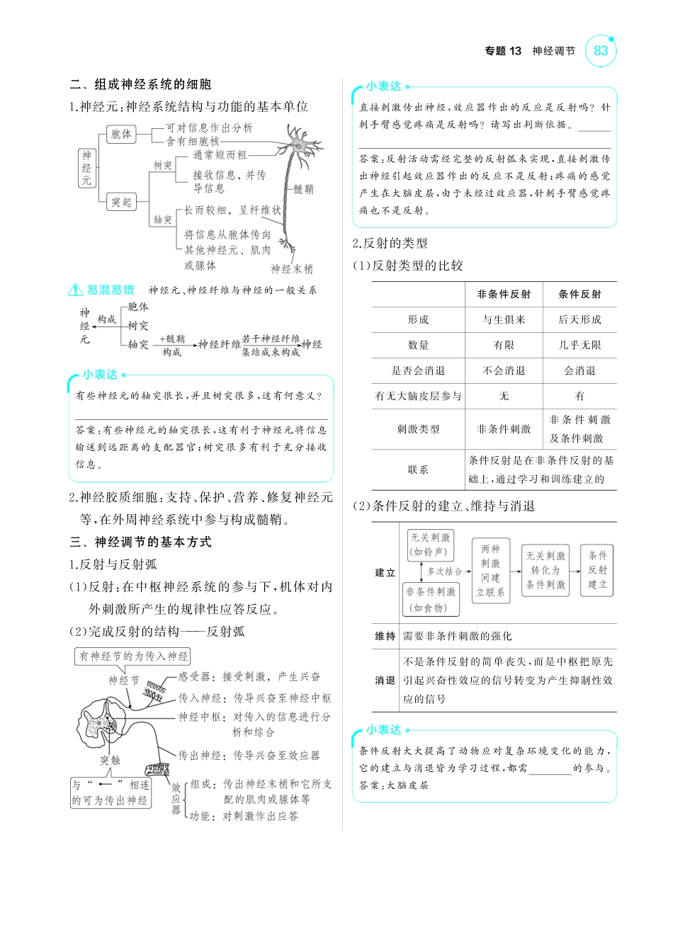 专题13   神经调节-【高考总复习】2025版新高考生物考点清单+模型清单.pdf_第2页