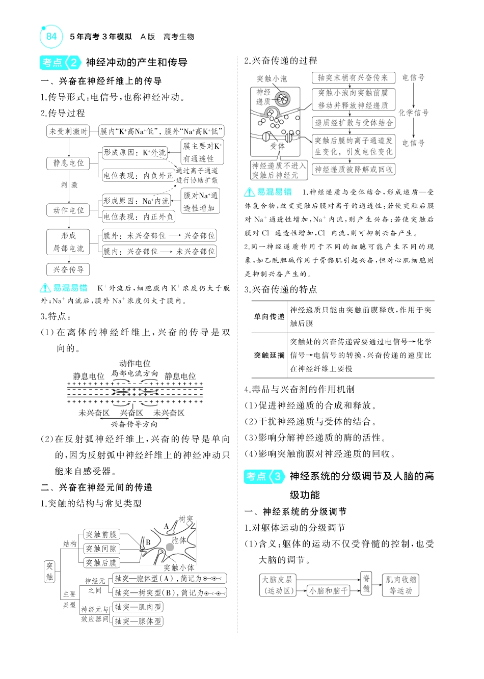 专题13   神经调节-【高考总复习】2025版新高考生物考点清单+模型清单.pdf_第3页