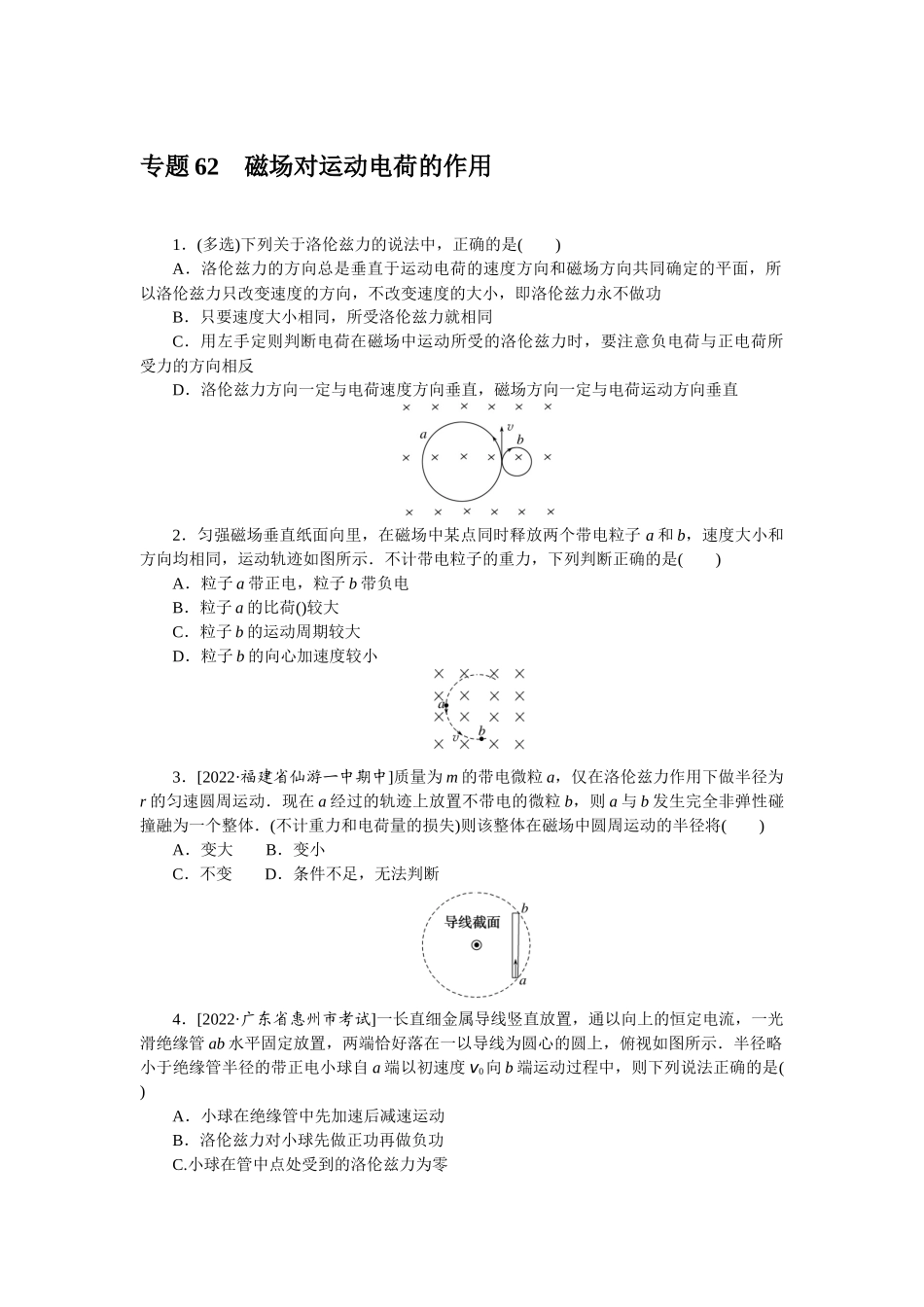 专题62磁场对运动电荷的作用-微专题 小练习物理L-5.docx_第1页