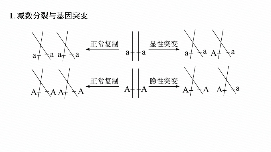 专题精研课2　细胞分裂过程中的遗传与变异现象-【高考生物】2026优化设计一轮复习(生物).pptx_第2页