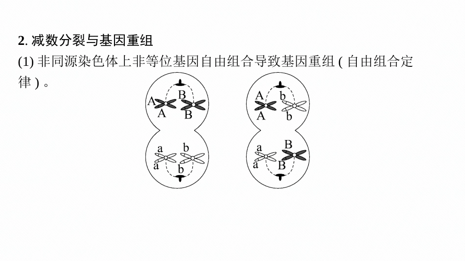 专题精研课2　细胞分裂过程中的遗传与变异现象-【高考生物】2026优化设计一轮复习(生物).pptx_第3页