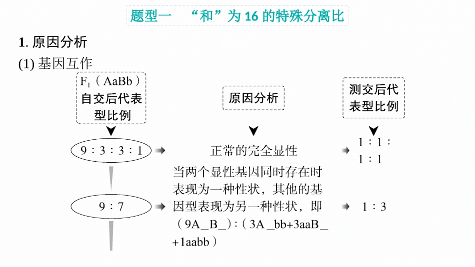 专题精研课4　自由组合定律中的特殊比例、探究不同对基因在常染色体上的位置-【高考生物】2026优化设计一轮复习(生物).pptx_第2页
