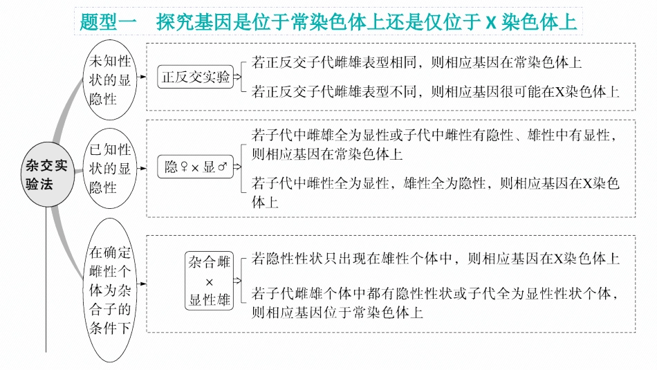 专题精研课5　探究基因在染色体上的位置-【高考生物】2026优化设计一轮复习(生物).pptx_第2页