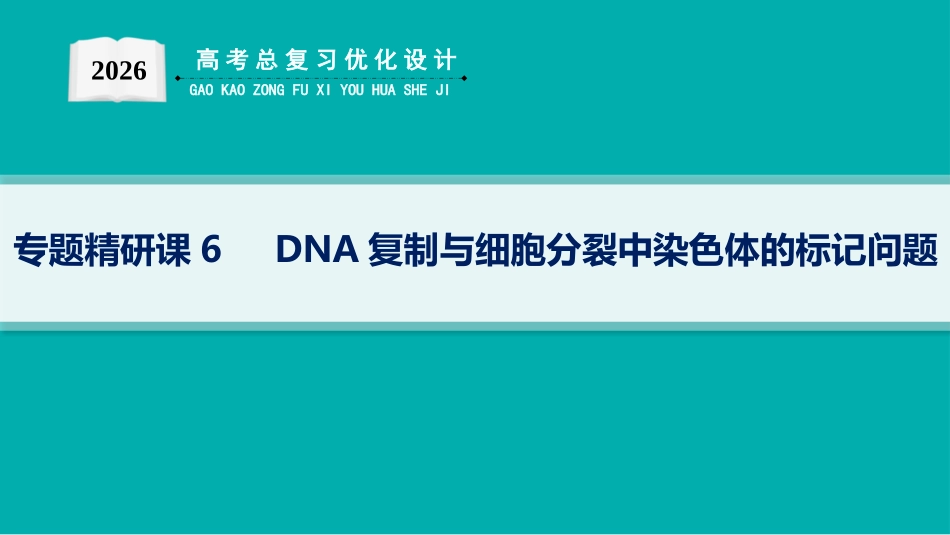 专题精研课6　DNA复制与细胞分裂中染色体的标记问题-【高考生物】2026优化设计一轮复习(生物).pptx_第1页