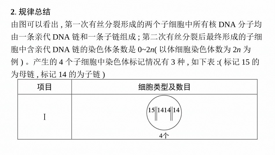 专题精研课6　DNA复制与细胞分裂中染色体的标记问题-【高考生物】2026优化设计一轮复习(生物).pptx_第3页