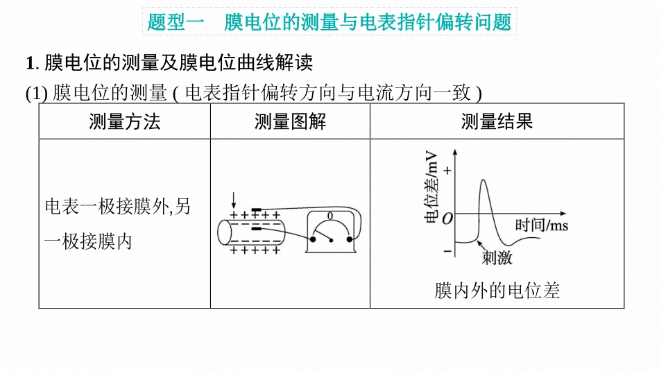 专题精研课9　兴奋传导及相关实验探究-【高考生物】2026优化设计一轮复习(生物).pptx_第2页