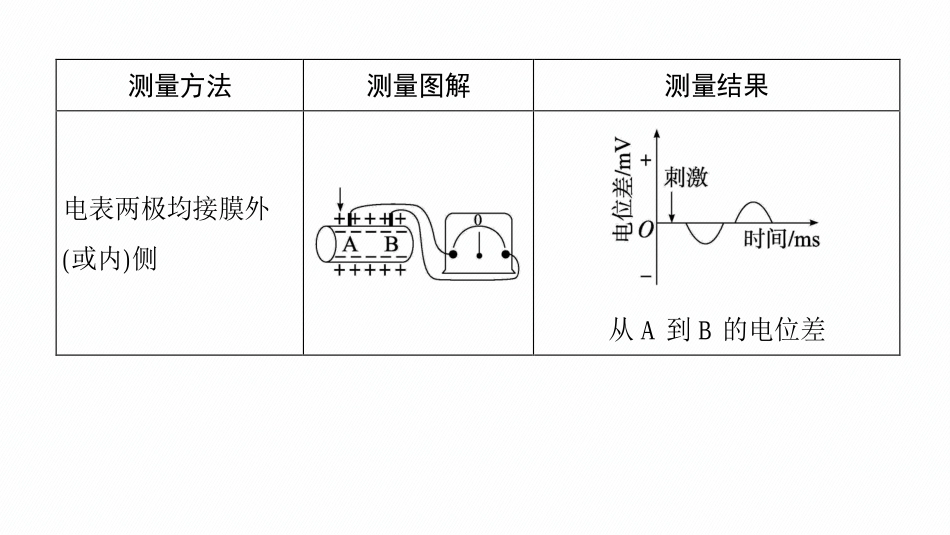 专题精研课9　兴奋传导及相关实验探究-【高考生物】2026优化设计一轮复习(生物).pptx_第3页