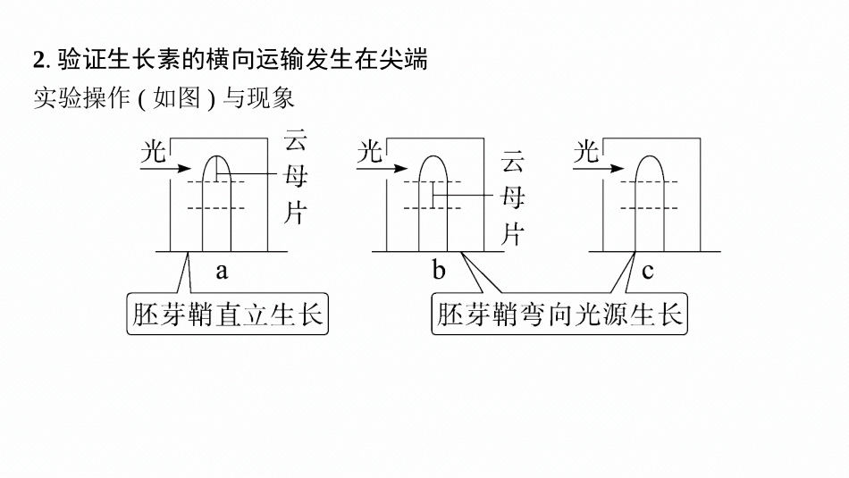 专题精研课11　与植物激素相关的实验设计-【高考生物】2026优化设计一轮复习(生物).pptx_第3页