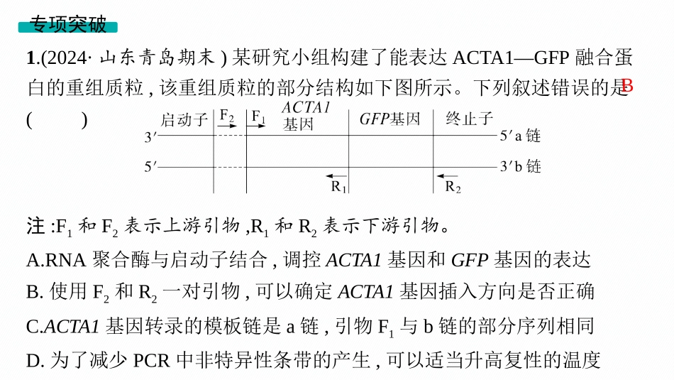 专题精研课12　PCR技术中引物的拓展应用-【高考生物】2026优化设计一轮复习(生物).pptx_第3页