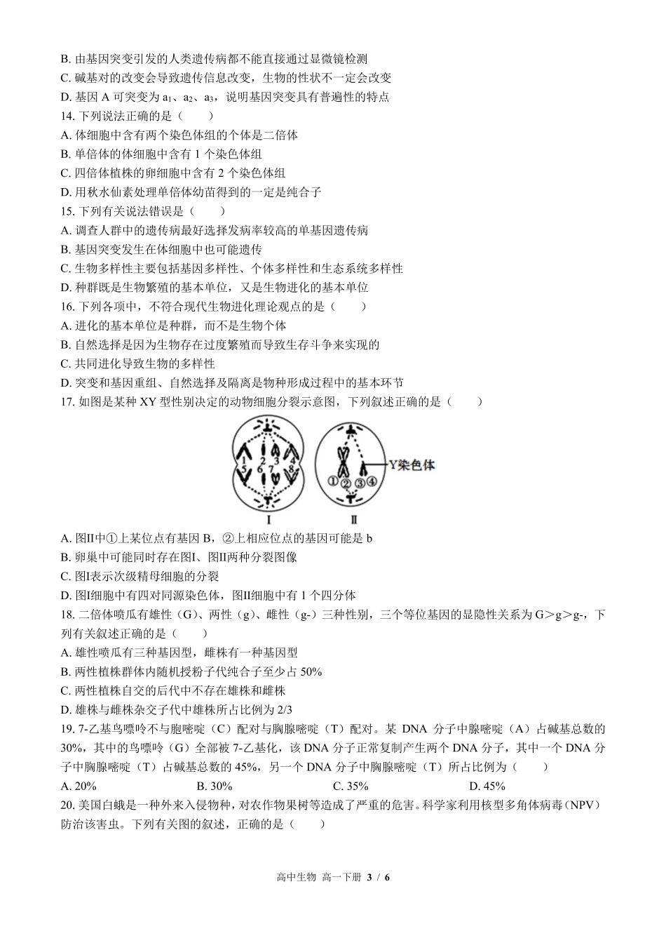 人教版2017课标高中生物高一年级下册期中测试试卷-含答案01.pdf_第3页