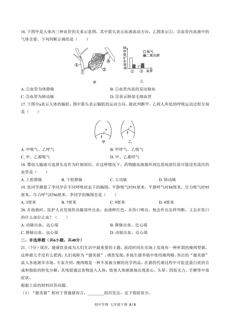 人教版初中生物七年级下册期中测试03含答案解析.pdf_第3页