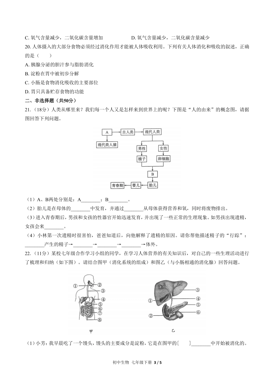 人教版初中生物七年级下册期中测试02含答案解析.pdf_第3页