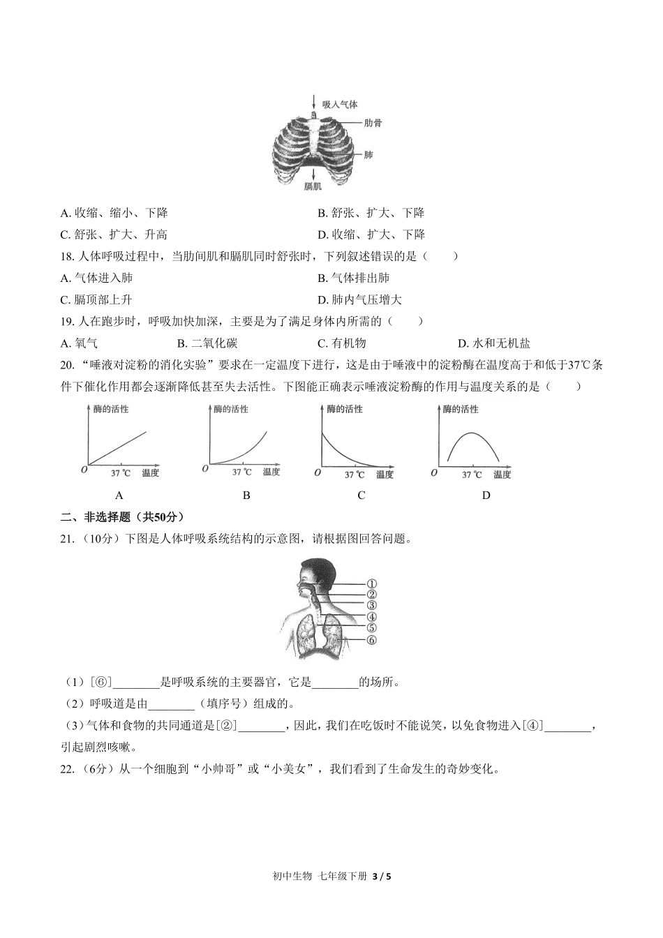人教版初中生物七年级下册期中测试01含答案解析.pdf_第3页