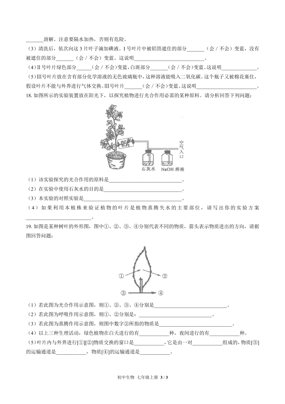 人教版初中生物七年级上册第三单元第五章综合测试01含答案解析.pdf_第3页