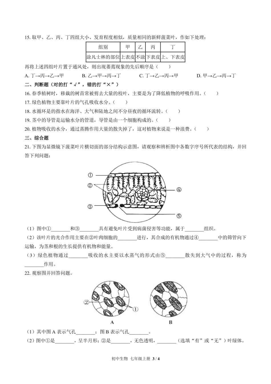 人教版初中生物七年级上册第三单元第三章综合测试01含答案解析.pdf_第3页