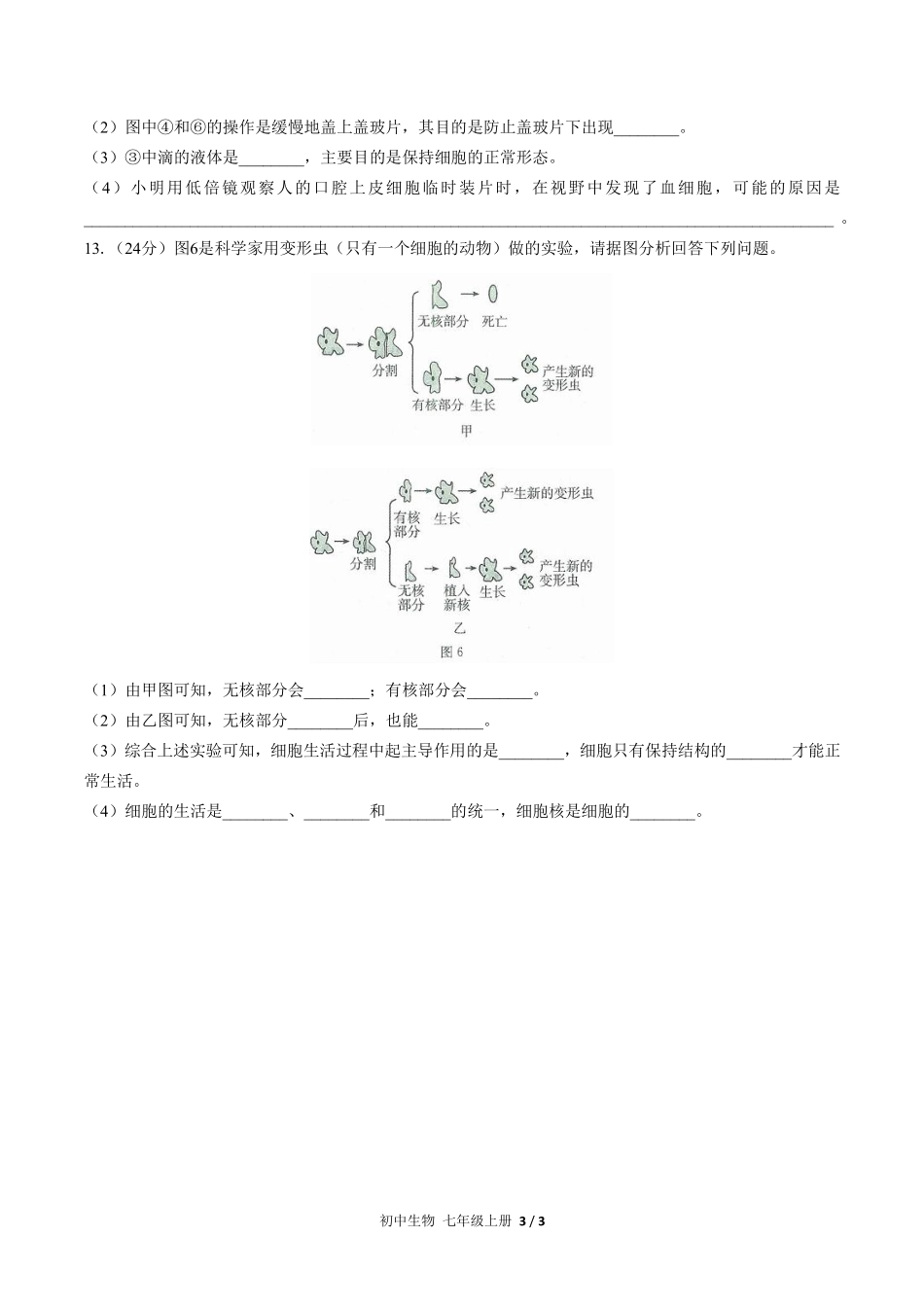 人教版初中生物七年级上册第二单元第一章综合测试01含答案解析.pdf_第3页