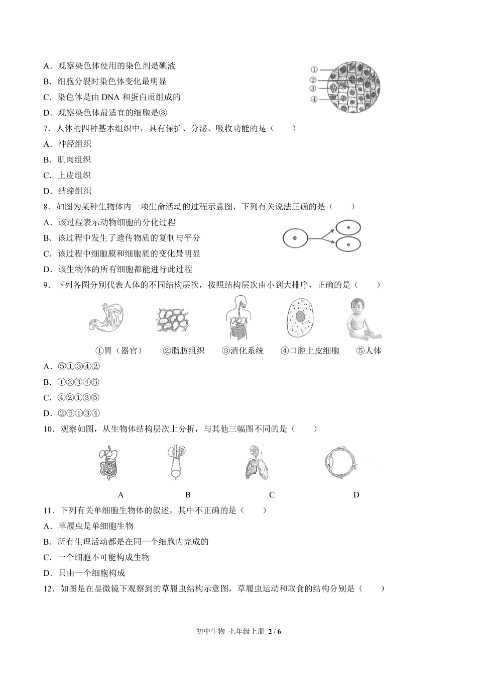 人教版初中生物七年级上册第二单元第二章综合测试02含答案解析.pdf_第2页