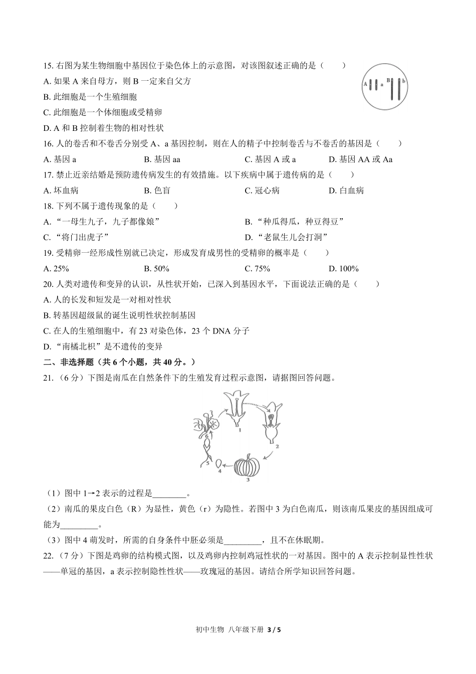 人教版初中生物八年级下册期中测试03含答案解析.pdf_第3页