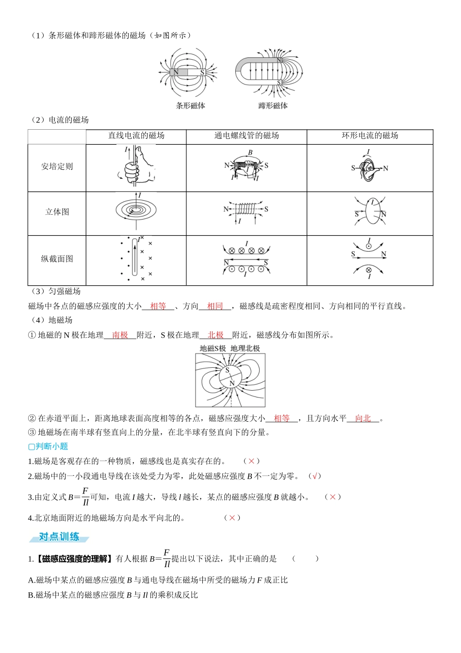 第1讲　磁场及其对电流的作用-【物理】2025版三维设计一轮总复习（提升版）.docx_第2页