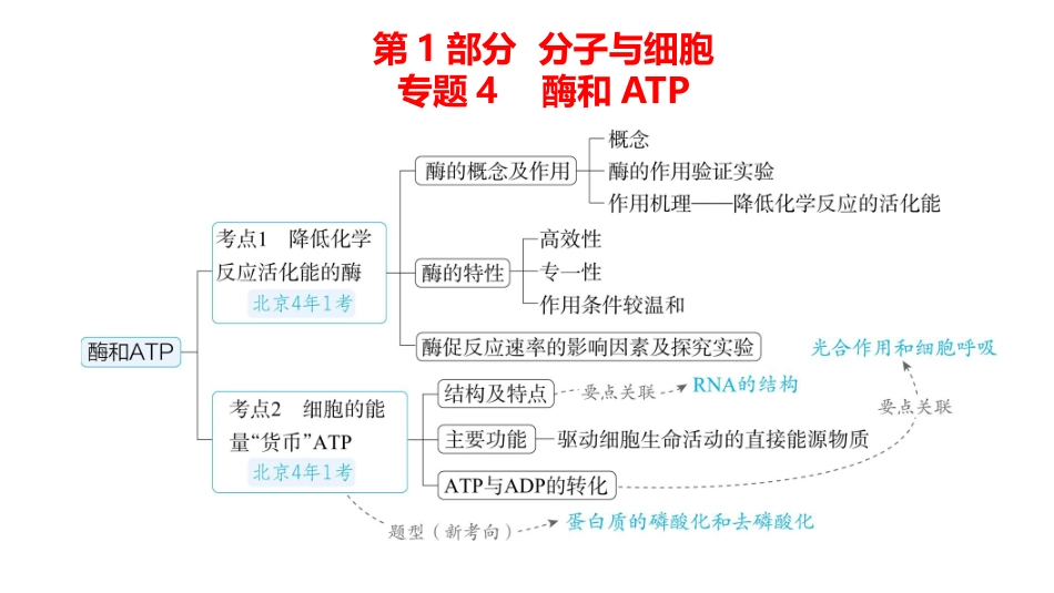 高中生物总复习讲解课件：专题4  酶和ATP(共17张PPT)-【生物二轮复习】高考二轮高中生物学专题复习.pptx_第1页