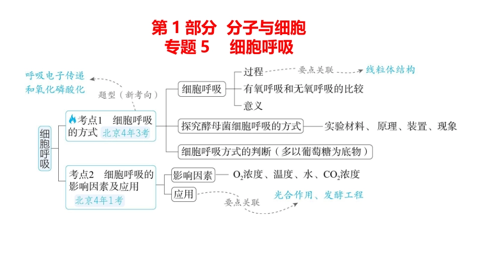 高中生物总复习讲解课件：专题5  细胞呼吸(共17张PPT)-【生物二轮复习】高考二轮高中生物学专题复习.pptx_第1页