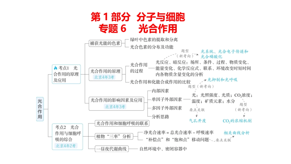 高中生物总复习讲解课件：专题6  光合作用(共41张PPT)-【生物二轮复习】高考二轮高中生物学专题复习.pptx_第1页