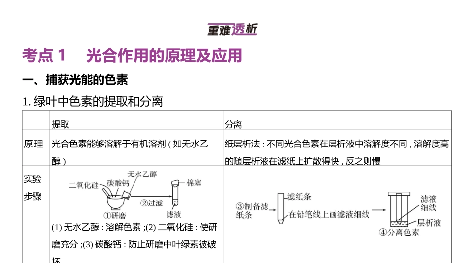 高中生物总复习讲解课件：专题6  光合作用(共41张PPT)-【生物二轮复习】高考二轮高中生物学专题复习.pptx_第2页