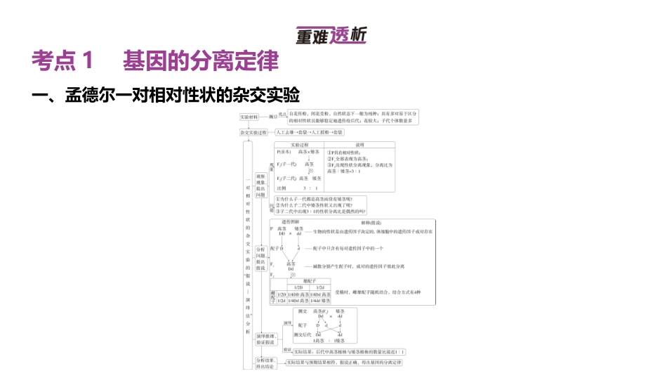 高中生物总复习讲解课件：专题8  分离定律和自由组合定律(共41张PPT)-【生物二轮复习】高考二轮高中生物学专题复习.pptx_第2页