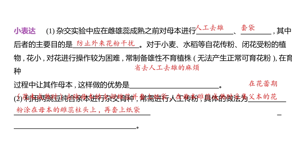 高中生物总复习讲解课件：专题8  分离定律和自由组合定律(共41张PPT)-【生物二轮复习】高考二轮高中生物学专题复习.pptx_第3页
