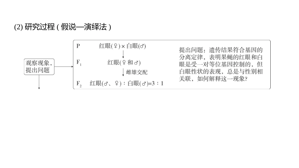 高中生物总复习讲解课件：专题9  伴性遗传与人类遗传病(共35张PPT)-【生物二轮复习】高考二轮高中生物学专题复习.pptx_第3页