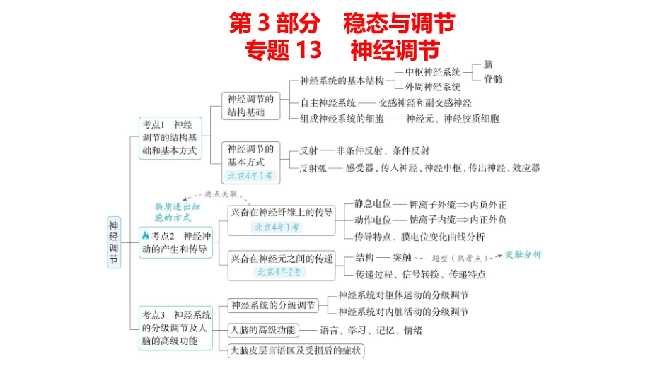 高中生物总复习讲解课件：专题13  神经调节(共23张PPT)-【生物二轮复习】高考二轮高中生物学专题复习.pptx_第1页