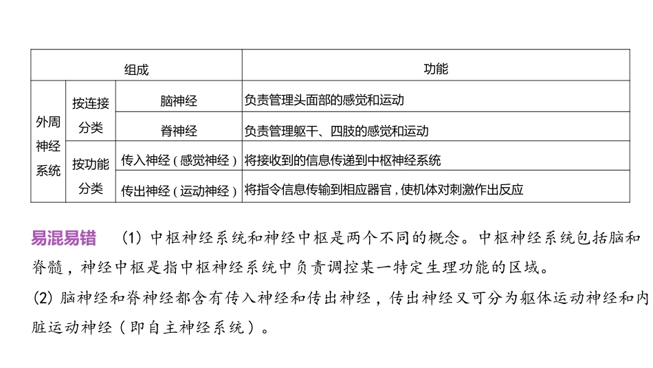 高中生物总复习讲解课件：专题13  神经调节(共23张PPT)-【生物二轮复习】高考二轮高中生物学专题复习.pptx_第3页