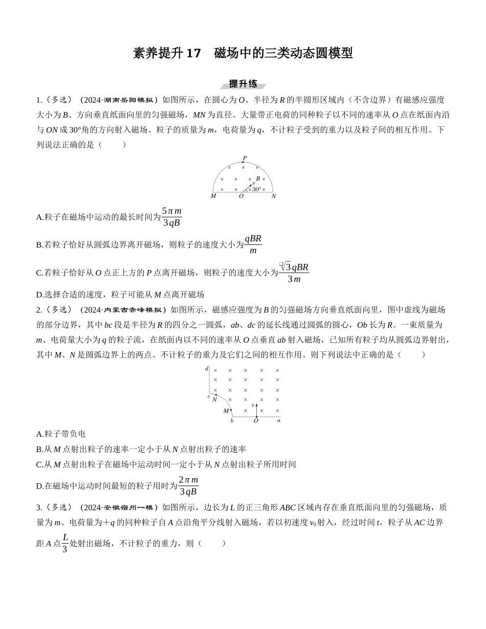 素养提升17　磁场中的三类动态圆模型-【物理】2025版三维设计一轮总复习课时跟踪检测.docx_第1页
