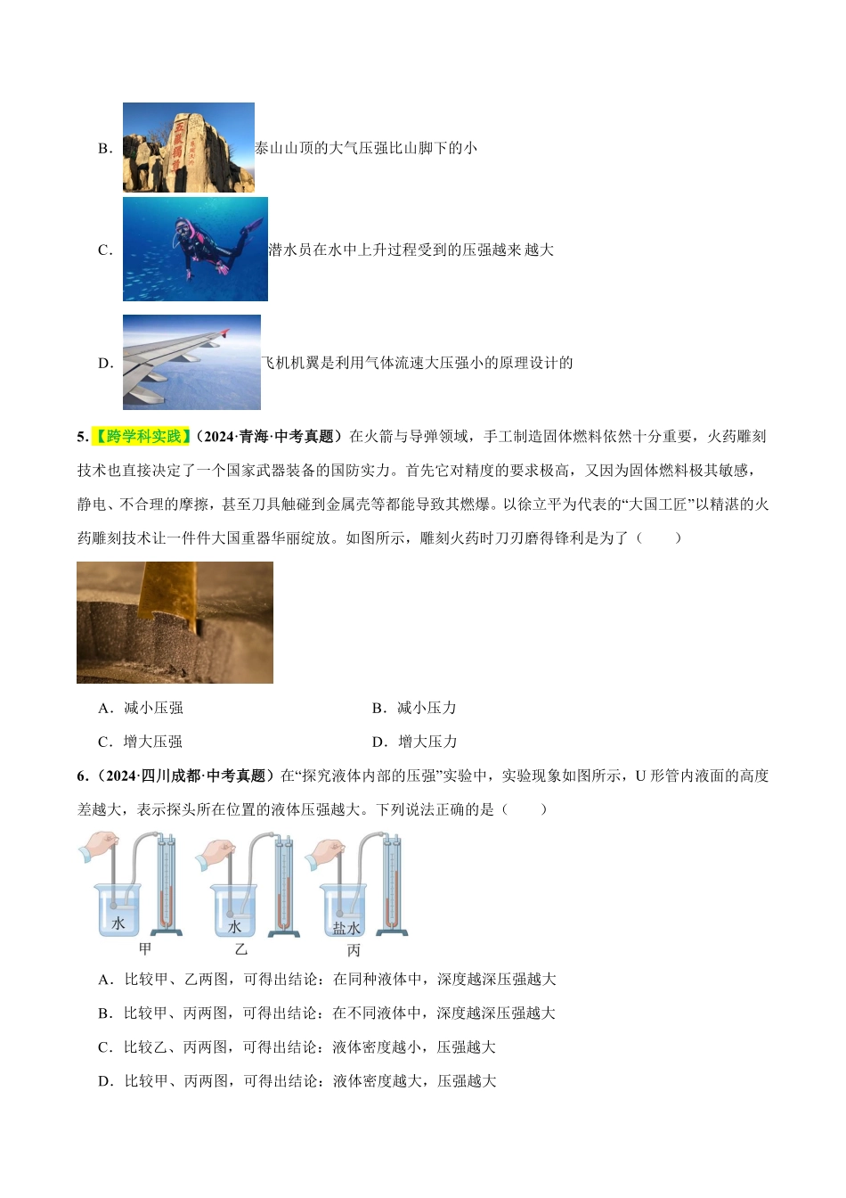 专题10  压强（测试）（原卷版）【2025中考物理一轮讲练测】.pdf_第2页