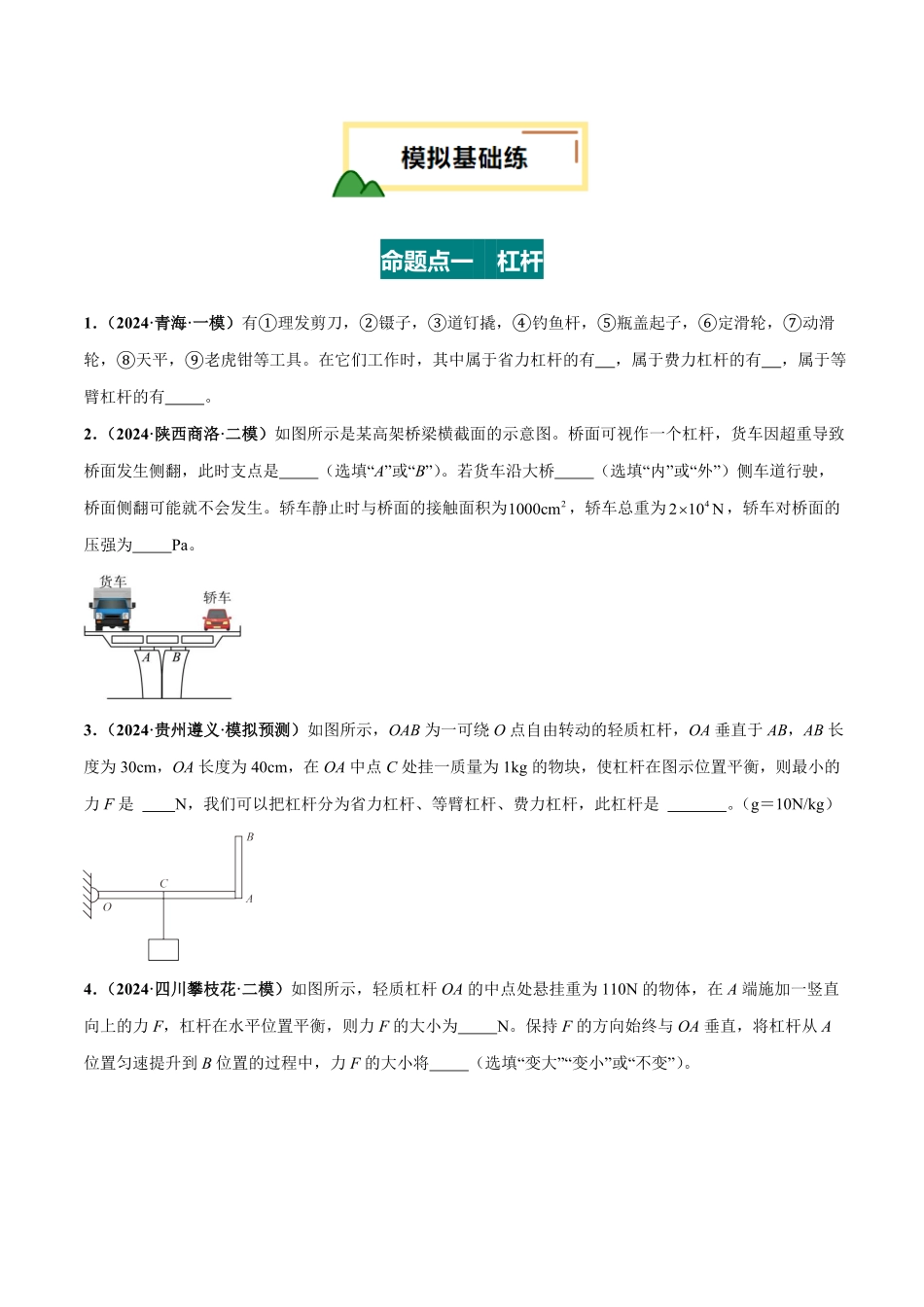 专题13  简单机械（练习）（原卷版）【2025中考物理一轮讲练测】.pdf_第2页