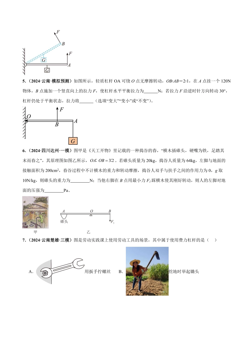 专题13  简单机械（练习）（原卷版）【2025中考物理一轮讲练测】.pdf_第3页