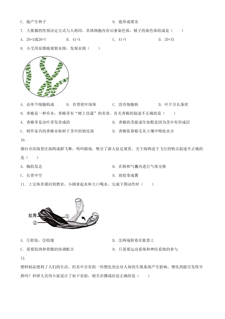 2024年山东烟台中考生物试题及答案.pdf_第2页