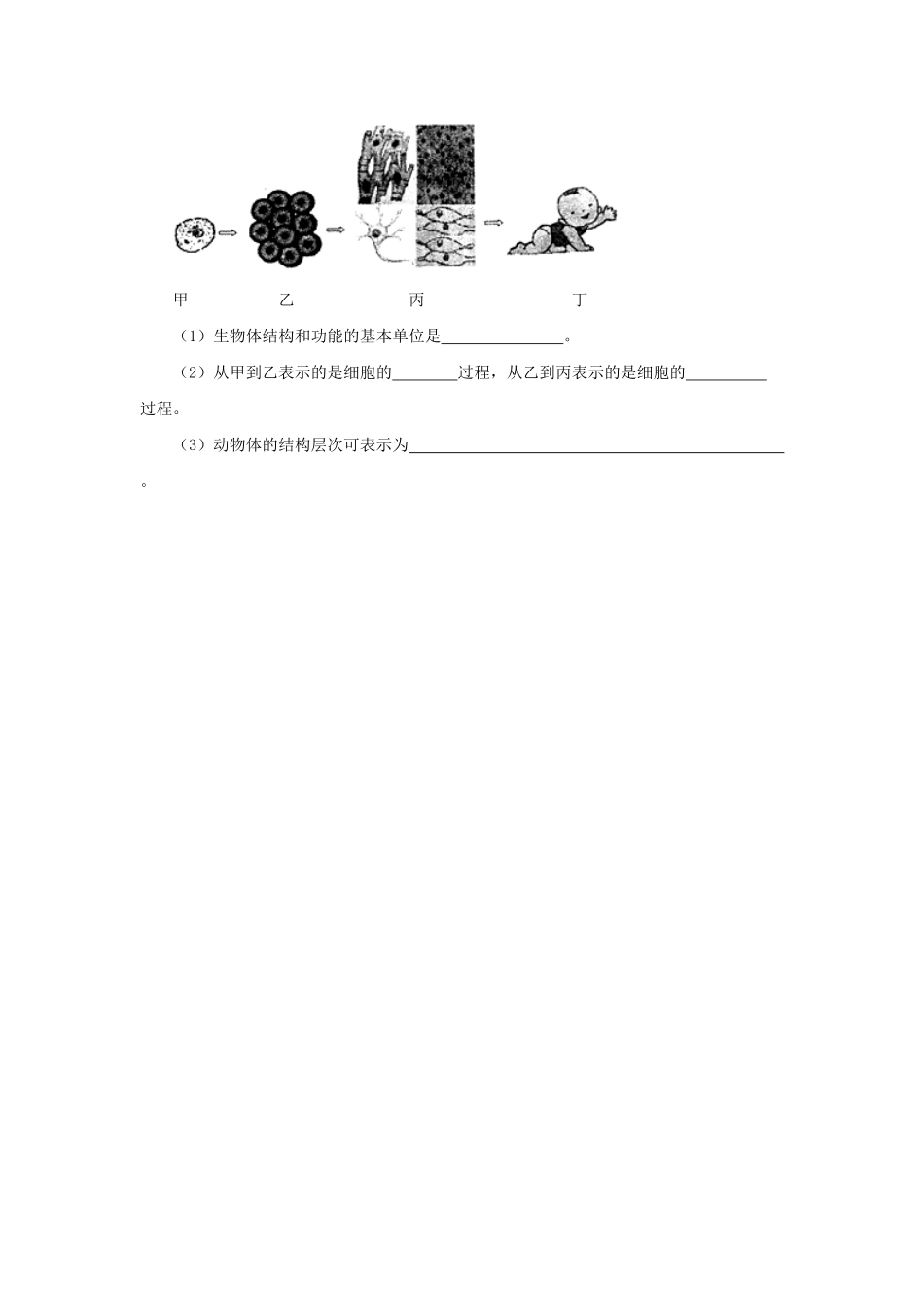 七年级上册生物第二单元第二章第二节试卷及答案.pdf_第3页