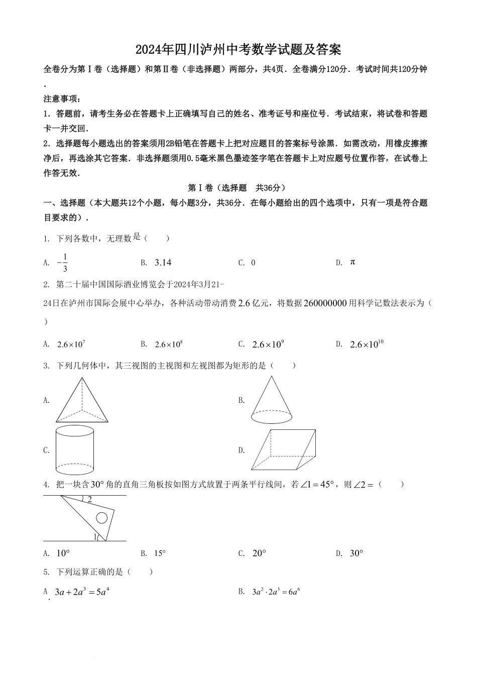 2024年四川泸州中考数学试题及答案.pdf_第1页