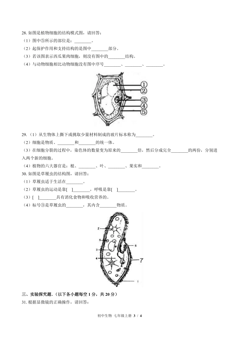 苏教版初中生物七年级上册期中测试03含答案解析.pdf_第3页
