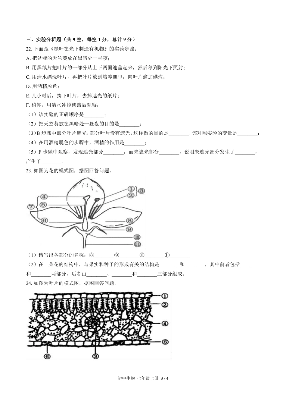 苏教版初中生物七年级上册期末测试03含答案解析.pdf_第3页