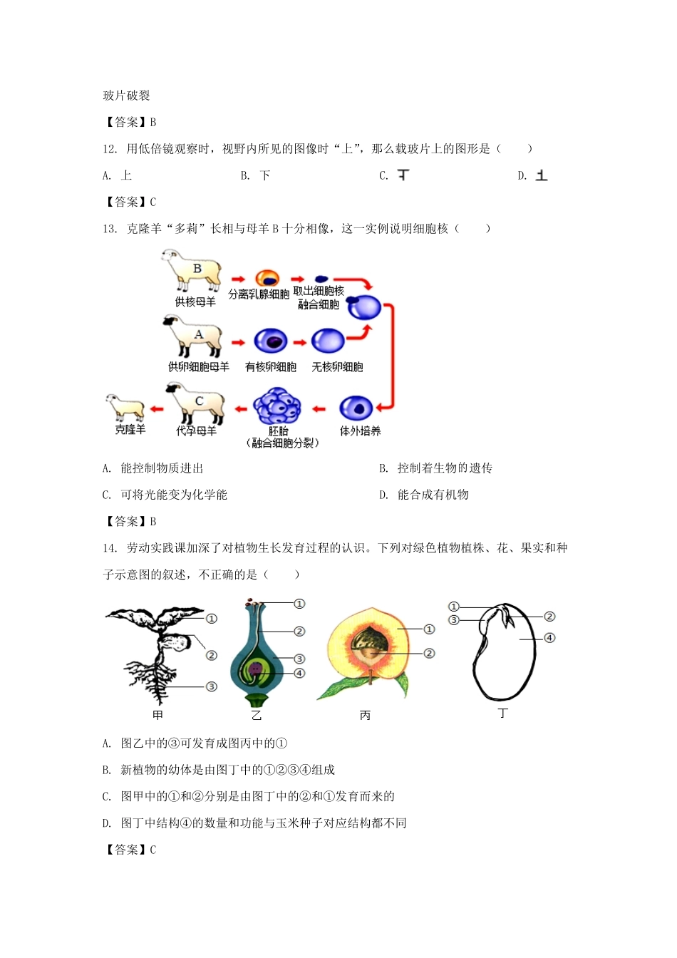 2021-2022学年天津市东丽区七年级上册期末生物试卷及答案.pdf_第3页