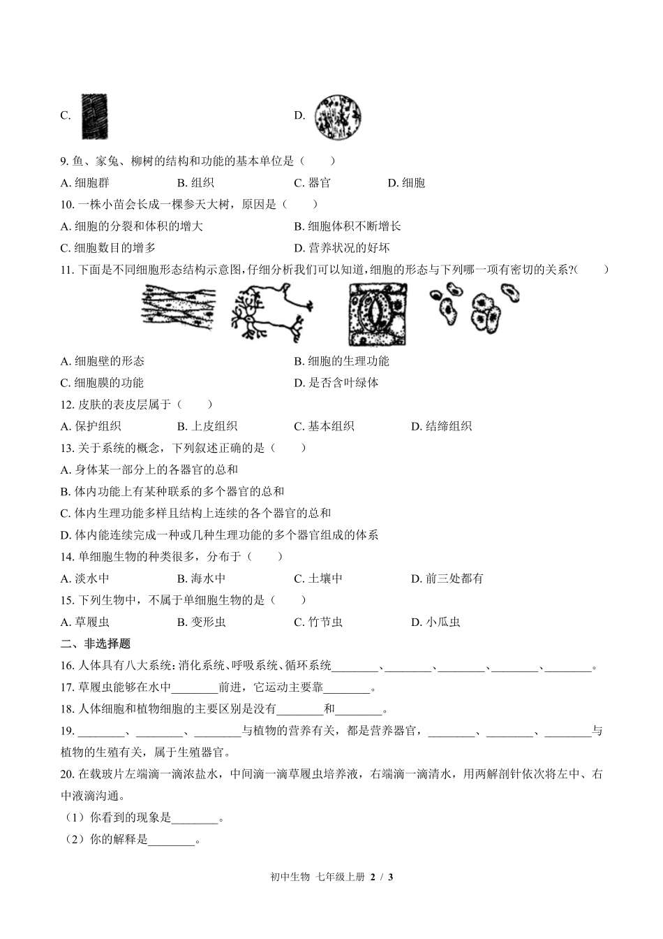 苏教版初中生物七年级上册第四章综合测试03含答案解析.pdf_第2页