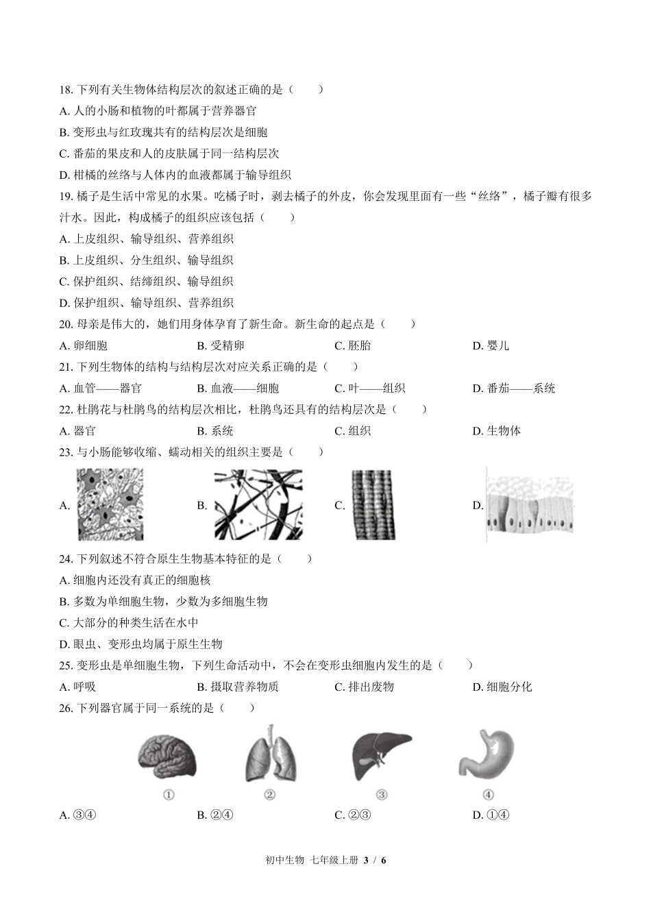 苏教版初中生物七年级上册第四章综合测试01含答案解析.pdf_第3页