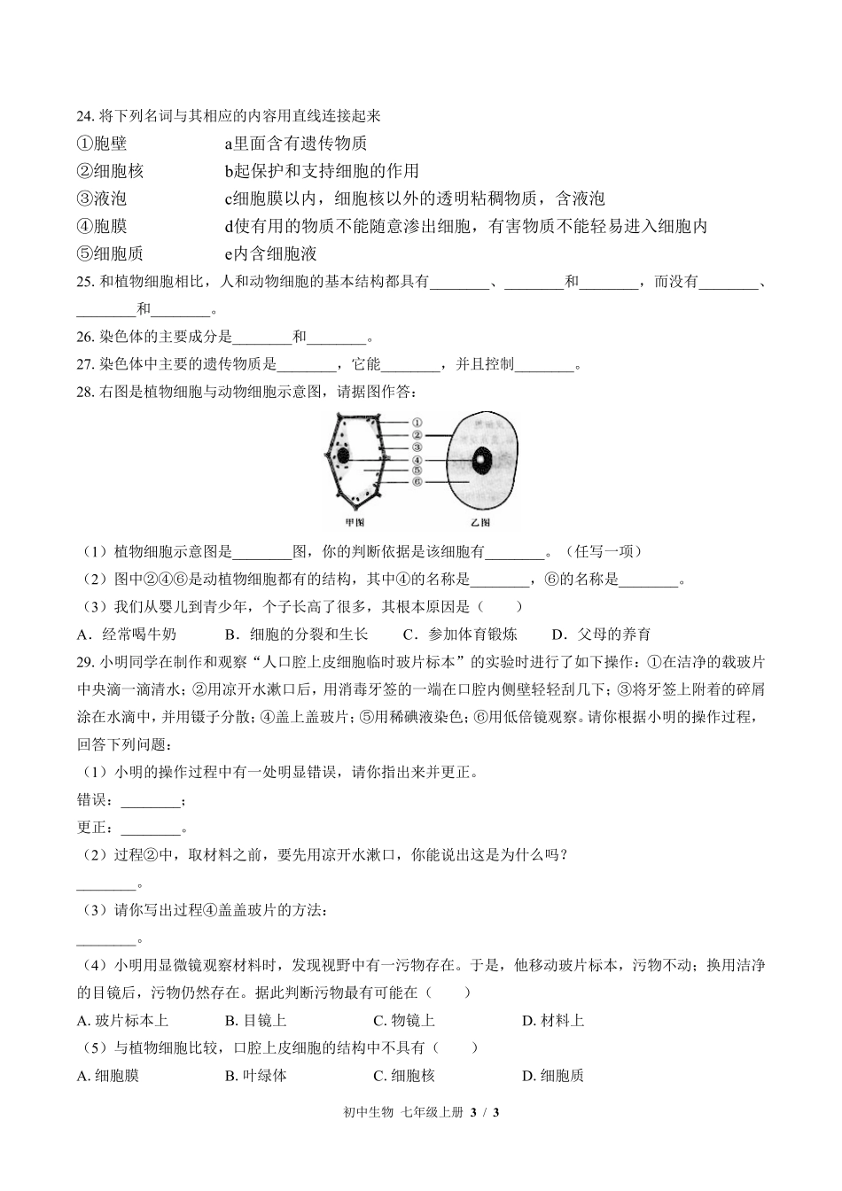 苏教版初中生物七年级上册第三章综合测试03含答案解析.pdf_第3页