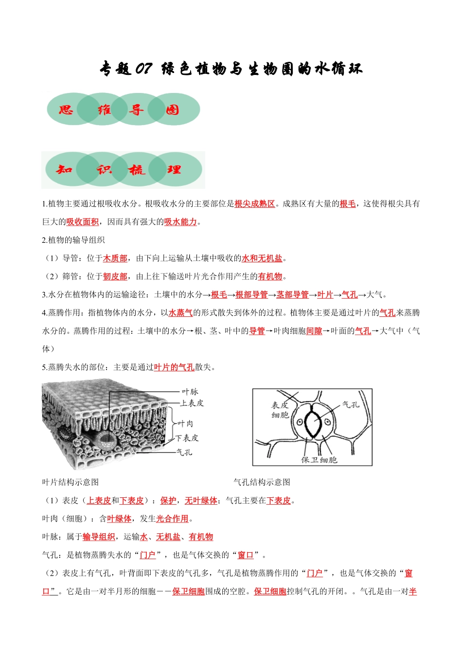 专题07绿色植物与生物圈的水循环知识清单七年级生物上册期末考点大串讲人教版含答案.pdf_第1页